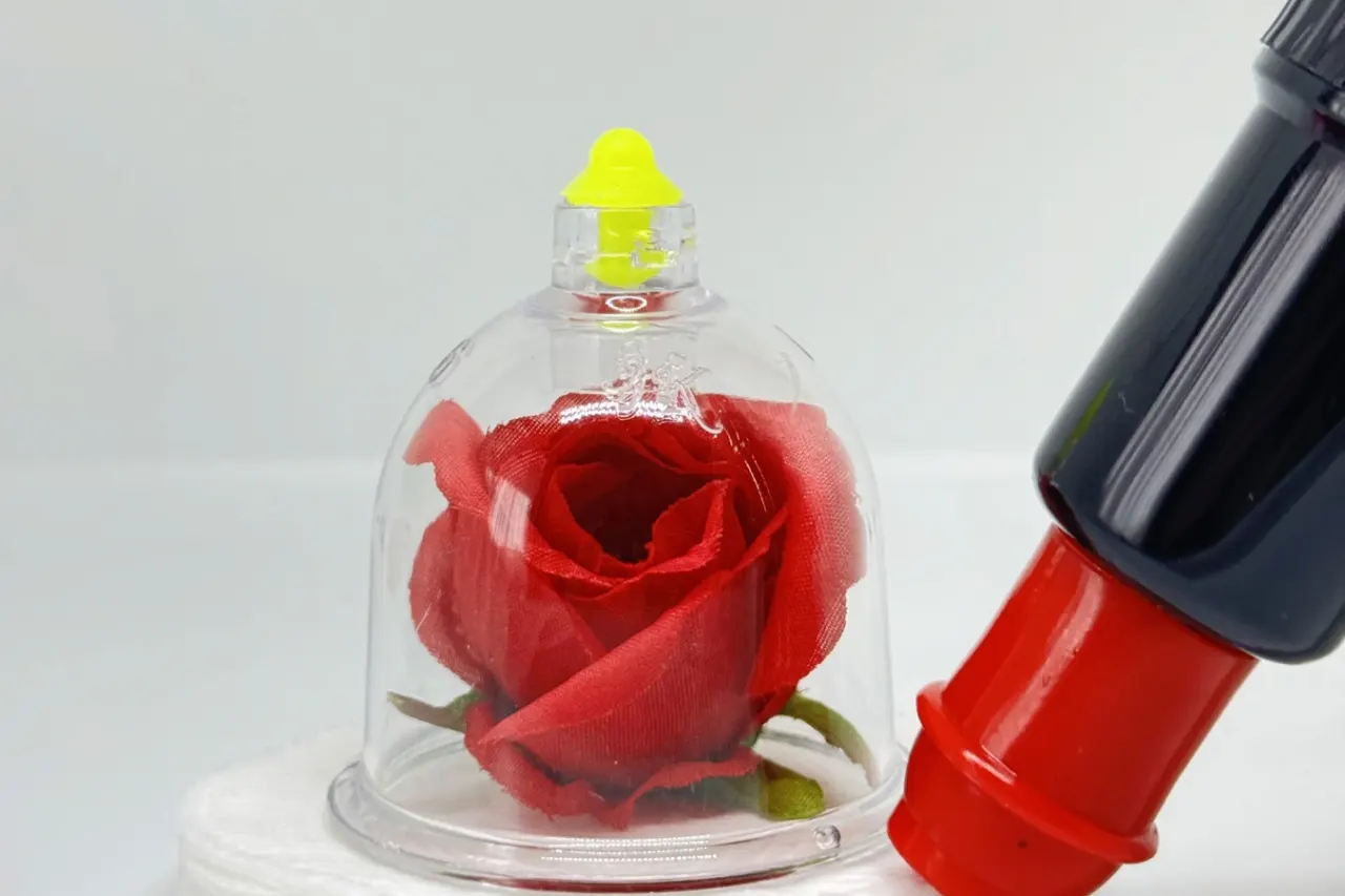 Ontwerpoverzicht van Hijama’N Cups